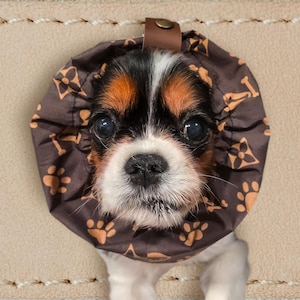 May include: A Cavalier King Charles Spaniel puppy wearing a brown and tan patterned pet snood. The snood features a repeating pattern of paw prints and other shapes. The puppy has a white, black, and tan coat.