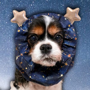 Op de afbeelding: Een Cavalier King Charles Spaniel draagt een marineblauwe capuchon versierd met een sterrenbeeldpatroon en gouden steraccenten. De hond heeft zwart, wit en bruin haar en kijkt recht in de camera.