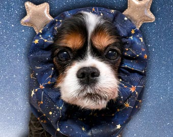 Constellation / Adjustable Spaniel Snood / Long Eared Dogs / Cavalier King Charles Spaniel