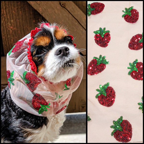 Sequin Strawberries / Nonadjustable Snood / Spaniels / Long Eared Dog / Cavalier King Charles Spaniel