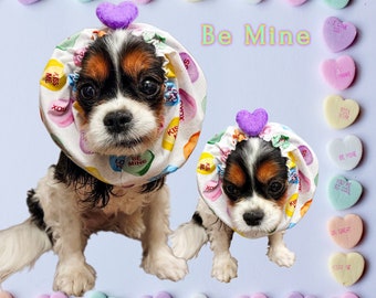 Be Mine / Valentine's / Adjustable Spaniel Snood / Long Eared Dogs / Cavalier King Charles Spaniel