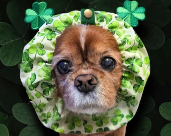 Klavers / Verstelbare halsdoek spaniël / Honden met lange oren / Cavalier King Charles-spaniël