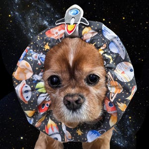 May include: A small dog wearing a black space-themed recovery collar with planets, rockets, and astronauts. A silver rocket ship is attached to the top of the collar. The background is a starry night sky.