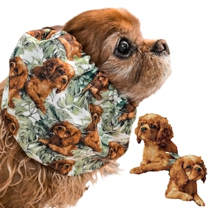 May include: A Cavalier King Charles Spaniel wearing a green and white bandana patterned with brown dogs and green leaves. Two more Cavalier King Charles Spaniels are in the background.