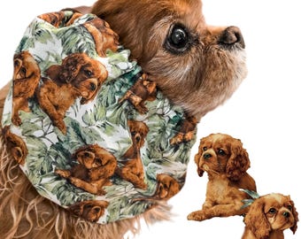 Cachorros Cavalier King Charles Spaniel Ruby / Snood ajustable para Spaniel / Perros de orejas largas