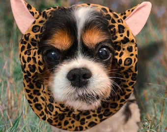 Drama de leopardo / Snood ajustable para spaniel / Perros de orejas largas / Cavalier King Charles Spaniel