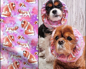 Blenheim Cavalier / Adjustable Snood / Long Eared Dog / Cavalier King Charles Spaniel