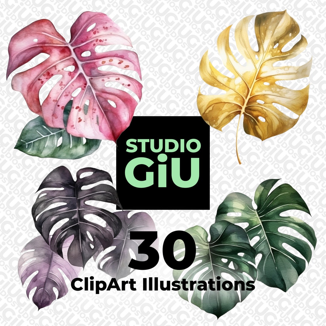 Monstera Leaves Clip Art Colorful Watercolor Illustrations, Instant