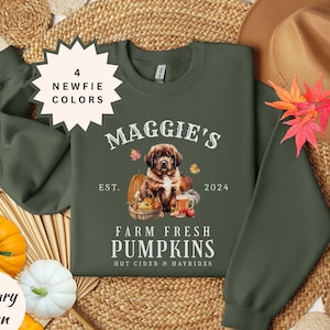 May include: Military green sweatshirt with a graphic featuring a Newfie dog, pumpkins, and the text "Maggie's Farm Fresh Pumpkins." The design includes the year 2024 and the words "Hot Cider & Hayrides."