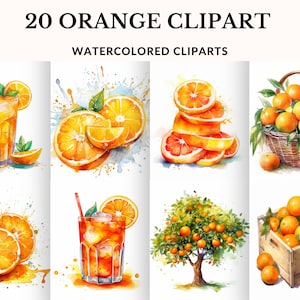 Watercolor Oranges Clipart Citrus Watercolor Clipart Orange Fruit Clipart Digital Fruit Watercolor Print with Citrus Commercial Use