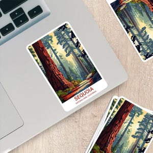 Sequoia National Park Sticker - Weatherproof Vinyl for Laptops, Water Bottles & More