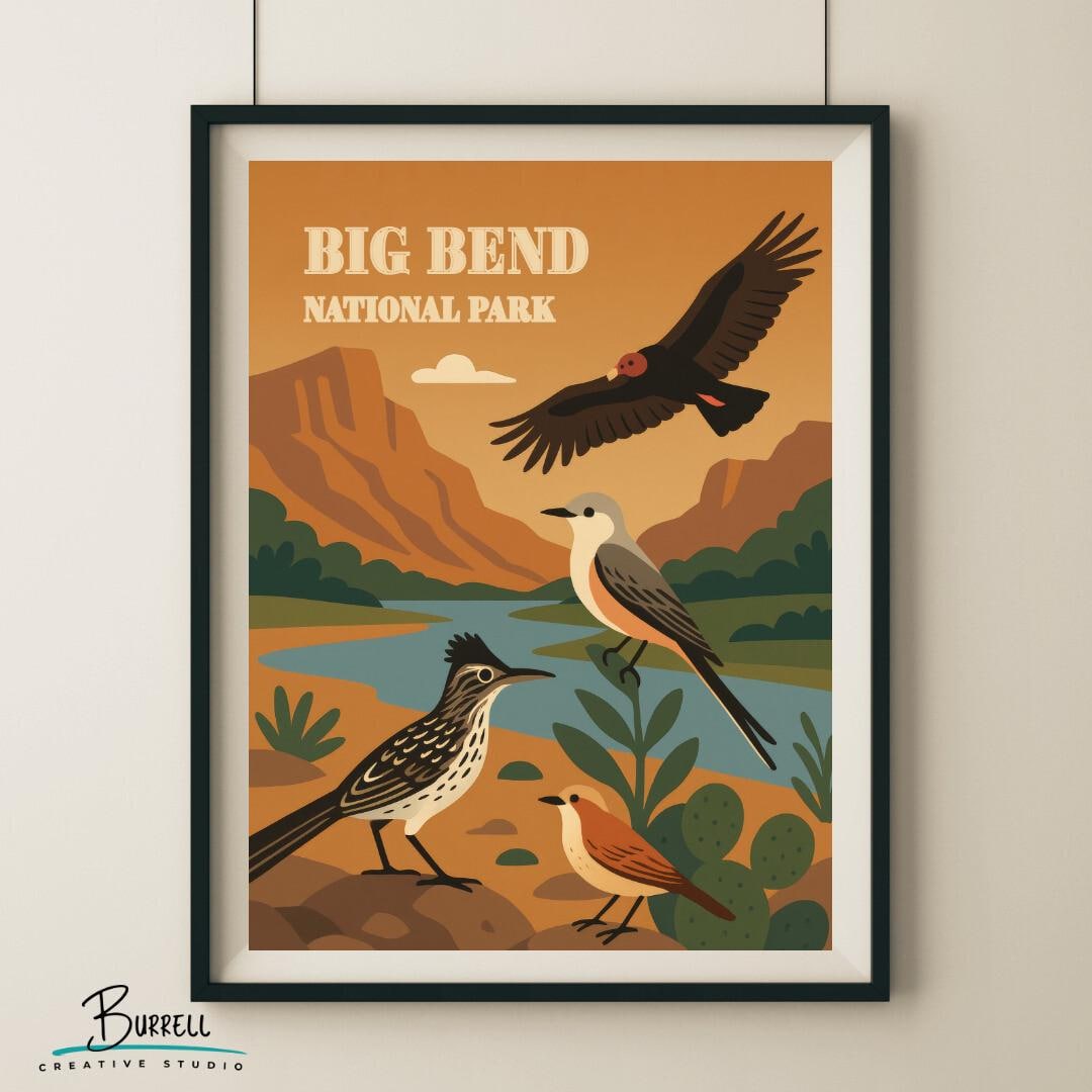 Big Bend National Park Texas Bird Wildlife Travel Poster & Wall
