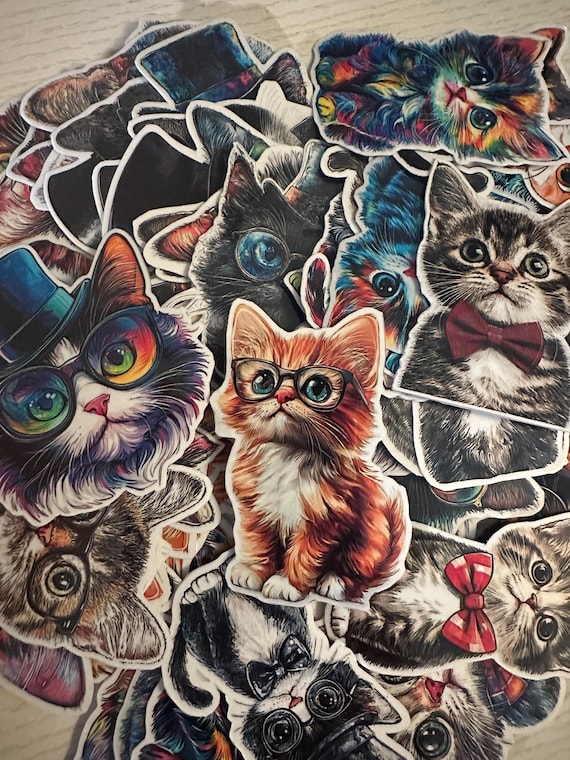 Silly Cat Sticker Pack – 72 Funny Cat-Themed Glossy Vinyl Stickers, Laminated Kitty Decals for Laptops, Water Bottles, Planners & Gifts