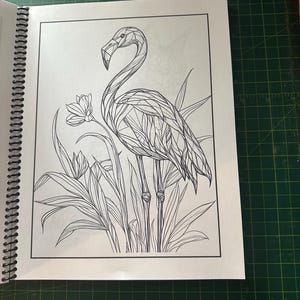 K&ouml;nnte beinhalten: Eine Schwarzwei&szlig;-Zeichnung eines Flamingos, der in einem Pflanzenbeet steht. Der Flamingo ist in einem geometrischen Stil gezeichnet, wobei sein K&ouml;rper und seine Beine aus vielen kleinen Dreiecken bestehen. Die Pflanzen sind ebenfalls in einem geometrischen Stil gezeichnet, wobei ihre Bl&auml;tter und St&auml;ngel aus vielen kleinen Linien bestehen.