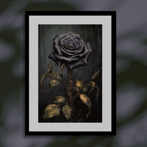 May include: A single black rose with dark green leaves and a twisted, brown stem. The rose is set against a dark, textured background.