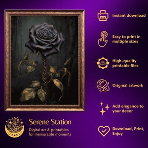 May include: A digital art print of a single black rose with a dark background. The rose is depicted with a detailed, realistic style. The print is framed in a gold frame.