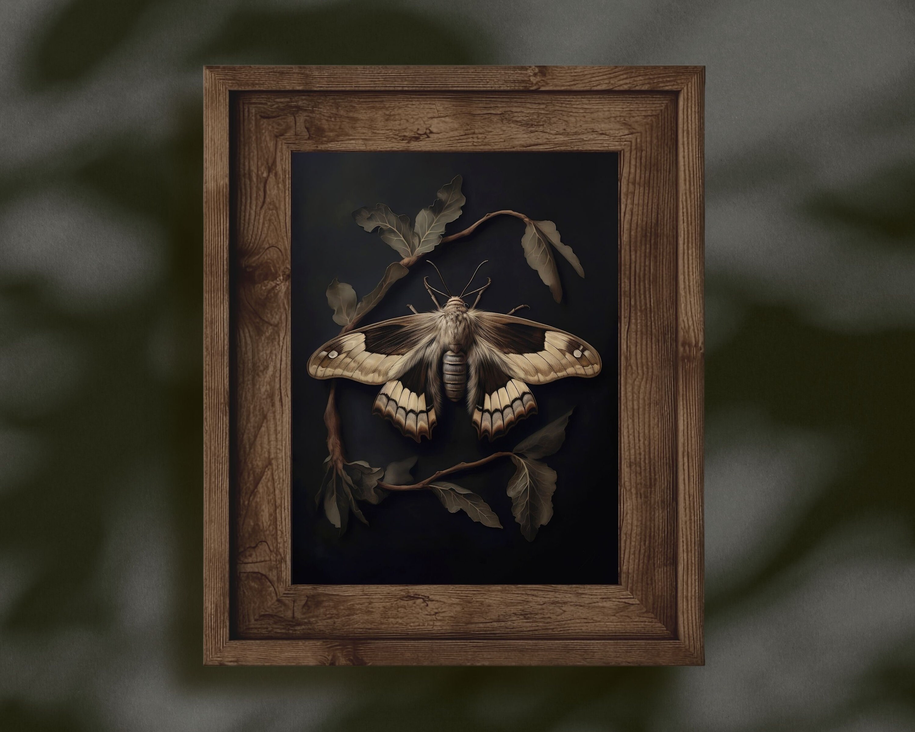 Moth Botanical Moody Wall Art Dark Academia Print Insect - Etsy