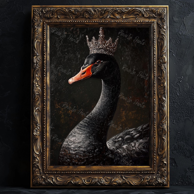 Pu&ograve; includere: Stampa incorniciata di un cigno nero con corona e becco rosso su sfondo scuro. L'opera d'arte &egrave; presentata in una cornice dorata ornata, che ne esalta l'aspetto regale.