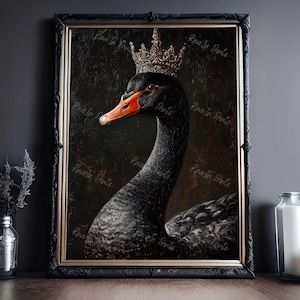 Pu&ograve; includere: Una stampa artistica incorniciata raffigurante un cigno nero con una corona. Il cigno ha un becco rosso ed &egrave; ambientato su uno sfondo scuro e strutturato. La cornice &egrave; nera e la stampa &egrave; etichettata con "Rave In Prints".