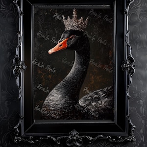 Pu&ograve; includere: Opera d'arte incorniciata in nero raffigurante un cigno nero incoronato, con becco arancione, su sfondo scuro. La cornice nera &egrave; ornata. Il testo "Rave In Prints" si ripete sull'immagine, creando uno stile cupo.