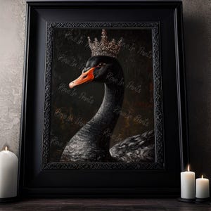 Pu&ograve; includere: Stampa incorniciata di un cigno nero con corona, su sfondo scuro. Il cigno ha un becco arancione. La cornice nera ha un bordo decorativo. L'immagine &egrave; filigranata con la scritta "Rave In Prints".