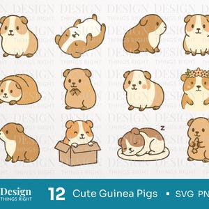 Bundle de cliparts mignons cochons d'Inde SVG PNG - 12 dessins d'animaux de compagnie Kawaii - rongeur PNG, fichiers de coupe animaux drôles pour Cricut & Silhouette