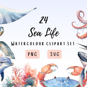 Sea Life Watercolor Clipart Set - Sea Creature Illustrations - PNG & SVG Files - Perfect for DIY Projects, Invitations, and Wall Art