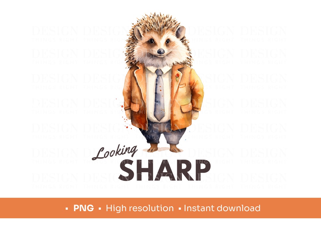 Looking Sharp | Hedgehog Digital Image | Cute, Funny Hedgehog - Print ...