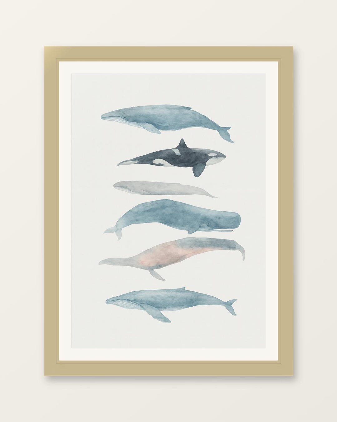 Watercolor Whale Poster – A3 Print of 6 Ocean Whales in Minimalist ...