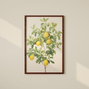 Lemon Tree Botanical Print | Digital Printable | Botanical Prints | Home Decor Wall Art | Floral wall art