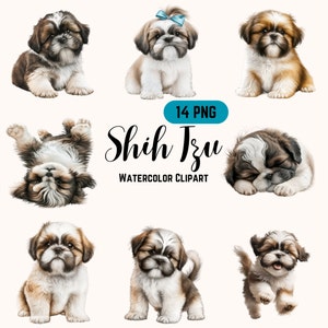 Uroczy pakiet clipartów Shih Tzu | 14 obrazów PNG | Pobieranie cyfrowe | Wysoka jakość | Wykorzystanie komercyjne