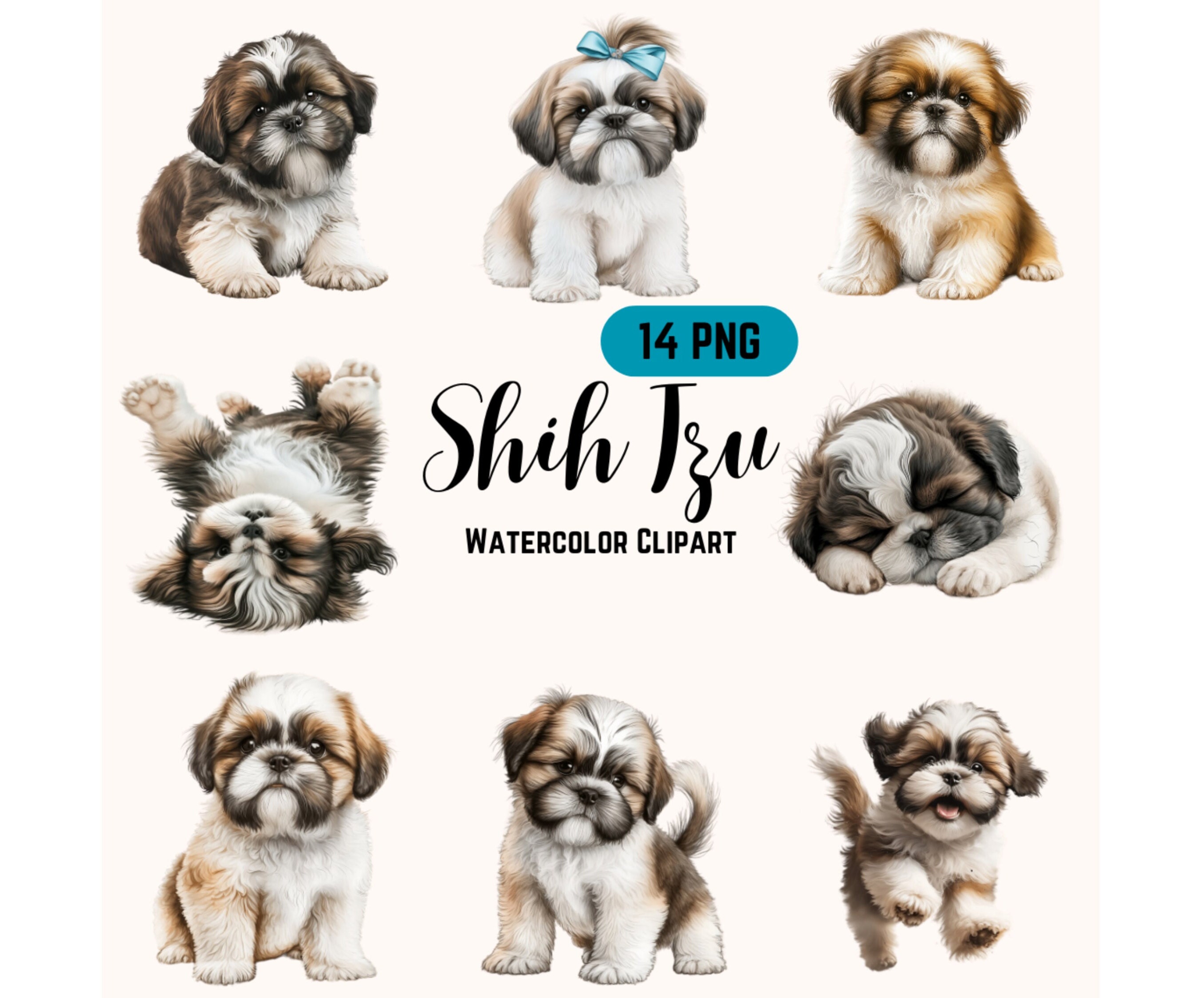 Cute Shih Tzu Clipart Bundle | 14 PNG Images | Digital Download | High ...