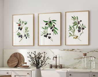 Vintage Botanical Watercolor Painting, 3 Piece Kitchen Wall Art, Set of 3 Olive Branch Prints, Gallery Wall Set, Mediterranean Kitchen Decor