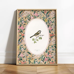 Puede incluir: Una impresión enmarcada con un fondo de patrón floral y un óvalo blanco en el centro. El óvalo contiene una ilustración dibujada a mano de un pájaro pequeño posado en una rama. El texto "CARIS GRACILIS, AND Ligonier" está impreso debajo del pájaro.