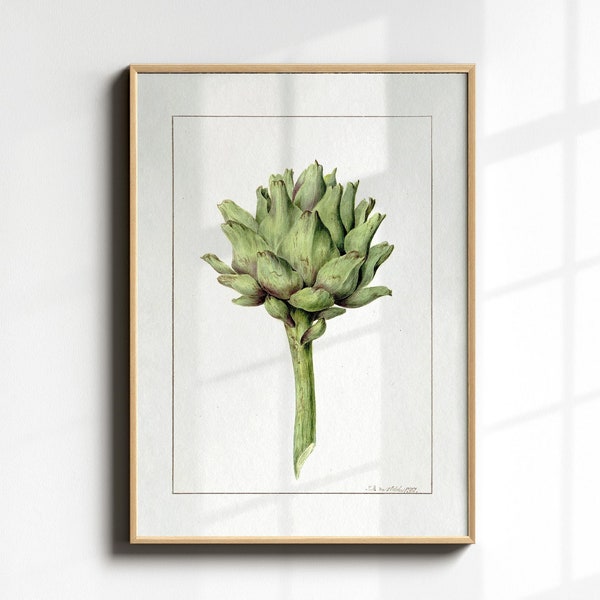 Artichoke Painting, Vintage Watercolor, Botanical Wall Art Print, Downloadable Artichoke Illustration, Cottagecore Decor, Modern Farmhouse