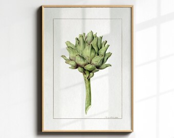 Artichoke Painting, Vintage Watercolor, Botanical Wall Art Print, Downloadable Artichoke Illustration, Cottagecore Decor, Modern Farmhouse