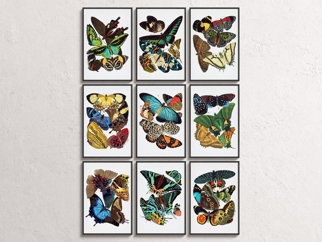 Vintage Butterfly Wall Art Set of 9 Art Deco Prints, Framed Wall Art ...