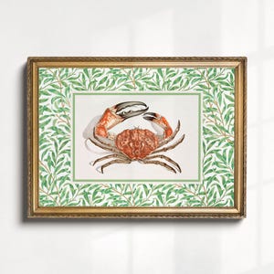 Crab Poster, Fisherman Aesthetic, Coastal Cottage Core Nancy Meyers Wall Art, Old Money French Country Decor, Nautical Wall Art, Crab Print