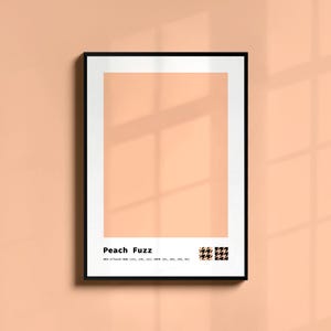 Może przedstawiać: Wydruk w ramie z czarną ramką i białym tłem. Wydruk zawiera tekst "Peach Fuzz" w kolorze czarnym i mały wzór w czarno-białą kratkę.