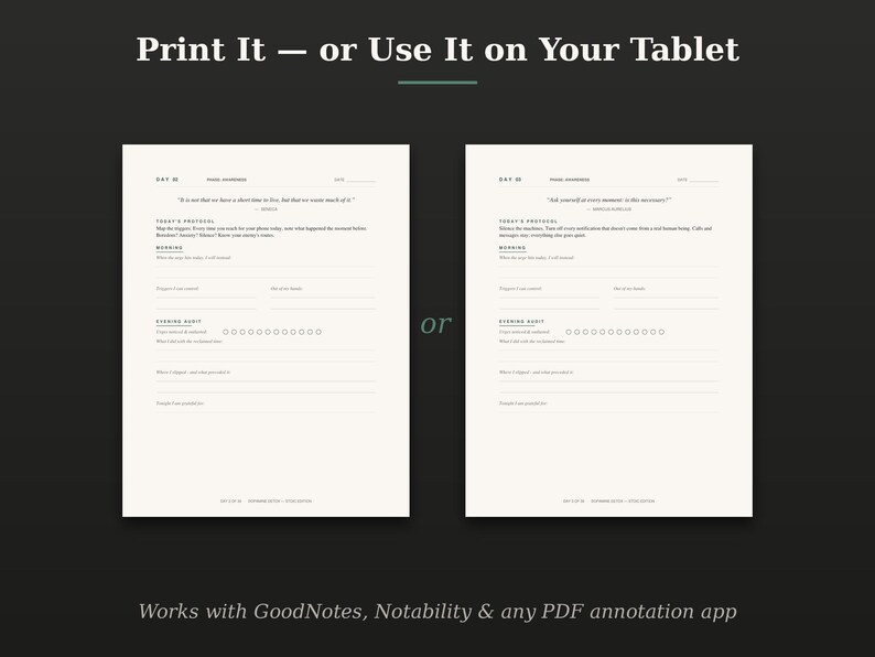 May include: Two white digital planner pages with black text on a dark background. The pages feature sections for daily protocols, morning routines, and evening audits. The text reads Print It &mdash; or Use It on Your Tablet and Works with GoodNotes, Notability & any PDF annotation app.