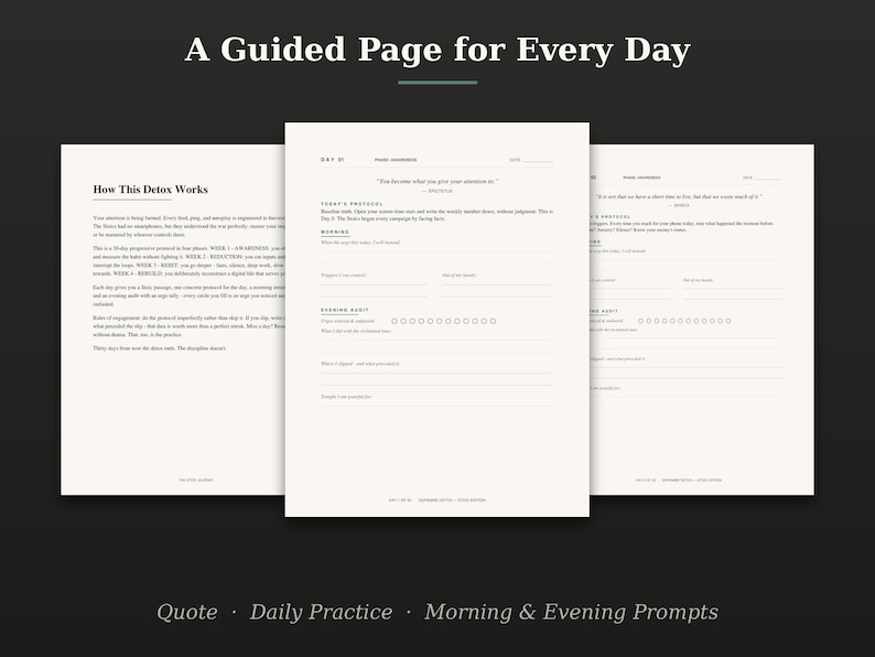 May include: Three off-white pages from a guided journal featuring black text. The left page is titled How This Detox Works. The center page is titled Day 01 and includes sections for a quote, today's protocol, morning, and evening audit.