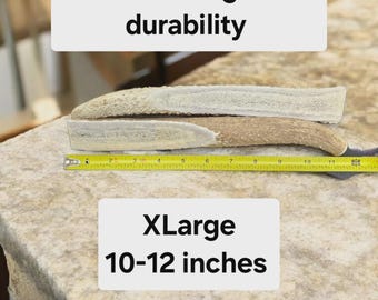 Masticable XL de asta de alce partida para perros – Golosina dental de larga duración (16-29 kg) / Masticable resistente parcialmente partido – Masticable extra grande para perros, golosina natural para perros