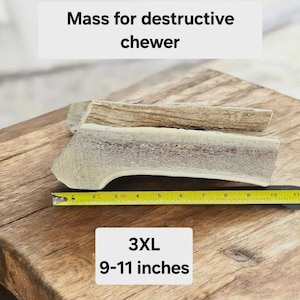 May include: A large, 9-11 inch antler dog chew, labeled "3XL" and "Mass for destructive chewer". The antler is measured with a tape measure.