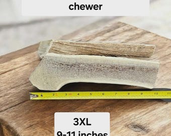 Masticable de asta de alce 3XL para perros masticadores agresivos (más de 38 kg) / Masticable natural de larga duración / Premio dental duradero de fácil masticación