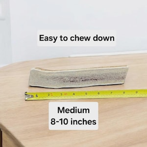 May include: A white antler dog chew measuring 8-10 inches long. The antler is on a wooden surface with a yellow measuring tape next to it. The text "Easy to chew down" and "Medium 8-10 inches" is visible in the image.