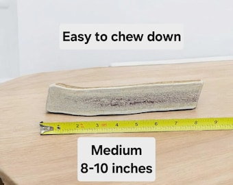 Masticable mediano de asta de alce para perros – Golosina natural de larga duración (6,8-16 kg) / Masticable dental duradero de corte completo – Masticable mediano para perros, golosina natural para perros