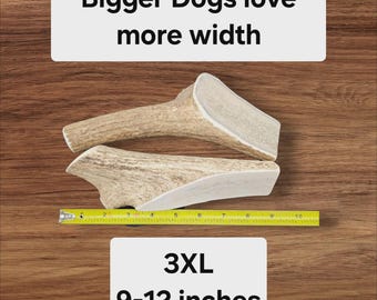 Masticable de asta de alce 3XL para perros masticadores agresivos (más de 38 kg) / Premio dental duradero parcialmente partido – Masticable extragrande para perros, premio para masticadores fuertes