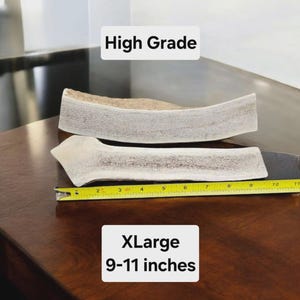 May include: Two large, natural, white deer antlers for dogs. The antlers are stacked on top of each other and measured with a yellow tape measure. The antlers are 9-11 inches long. The text "High Grade" and "XLarge 9-11 inches" is visible in the image.