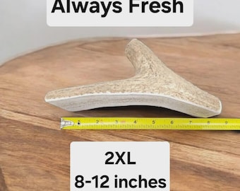 Masticable de asta de alce 2XL para perros masticables agresivos (de 29 a 39 kg) / Masticable natural de larga duración / Golosina dental duradera parcialmente partida