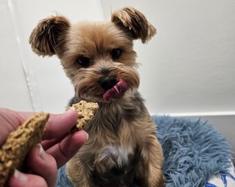Dog Cookie Mix | Homemade Dog Treats | Easy Bake at Home | Bark & Bake